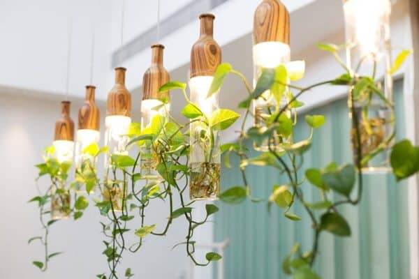 pflanzen-licht-lampe-natur-wohnung-garten-modern-pflanzenlampe
