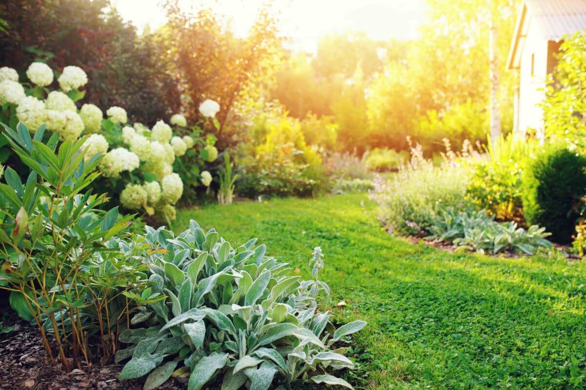Garten mit verschiedensten Pflanzen, Sonneneinstrahlung von oben