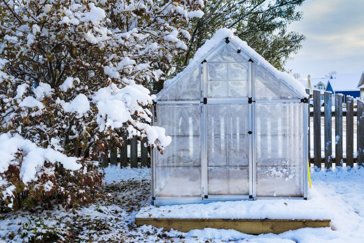 Pflanzen im Januar: Gewächshaus im Schnee