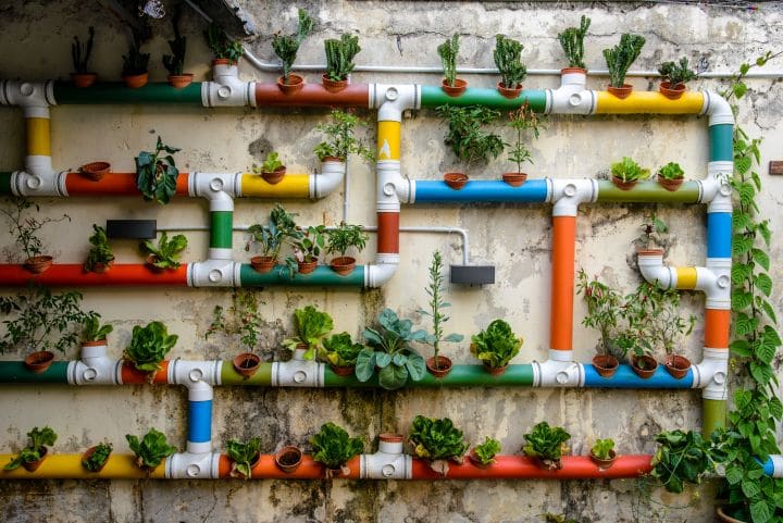 Urban Gardening: bunte alte Rohre, die ander Wand hängen und als Blumekasten verwendet werden