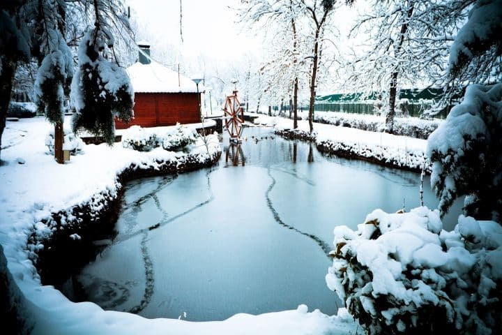 Gefrorener Teich im Winter