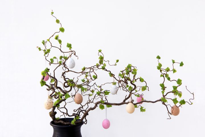 Rosa, weiße, und braune Ostereier auf einem Baum mit vielen verwinkelten Ästen in einem Blumentopf