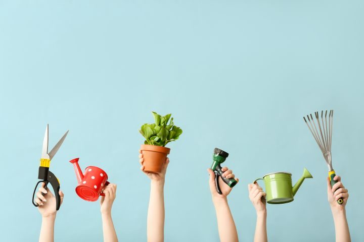 Weibliche Händen halten eine Gartenschere, Gießkanne, Topfpflanze, Taschenlampe, grüne Gießkanne, kleiner Rechen auf hellblauem Hintergrund in die Höhe