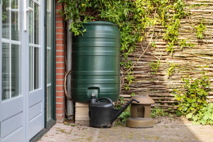 Ein grüner Regenwassertank zur Wasserspeicherung vor einem Haus