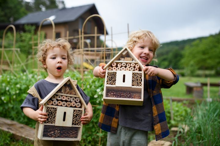 Kleiner Junge und Mädchen halten Insektenhotels in den Händen