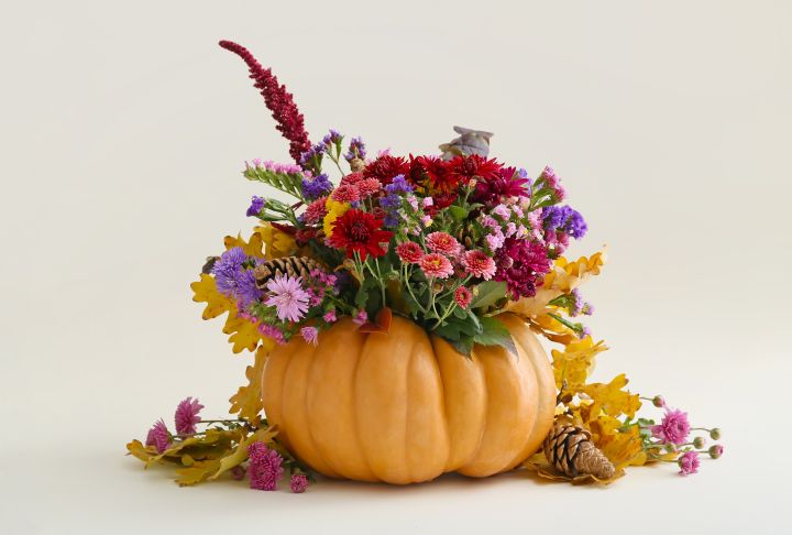 Kürbis als Blumenvase mit bunten Pflanzen, umgeben von bunten Blüten auf neutralem Hintergrund